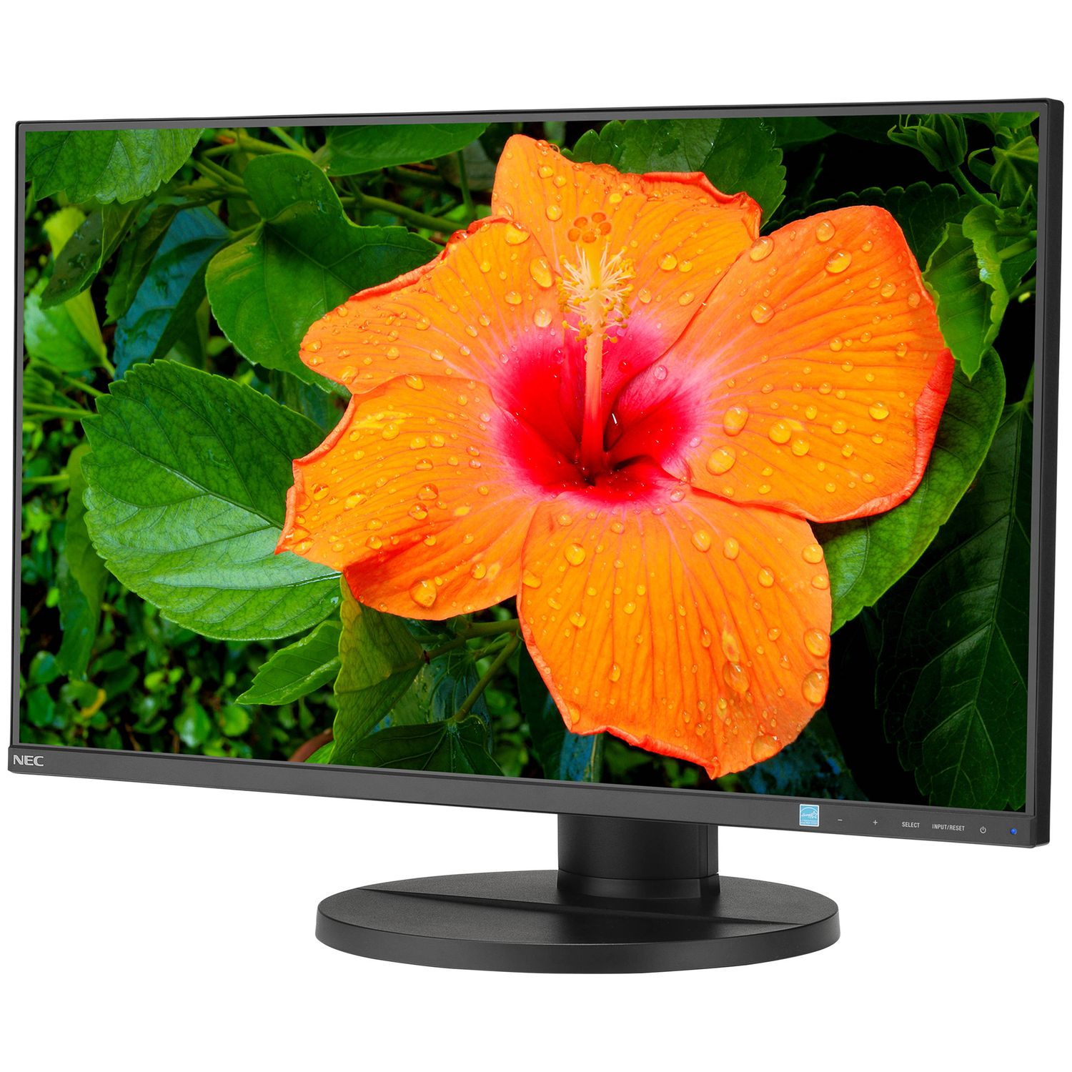 A black NEC E271N-BK 27-inch IPS monitor displaying a vivid orange hibiscus flower on its screen.